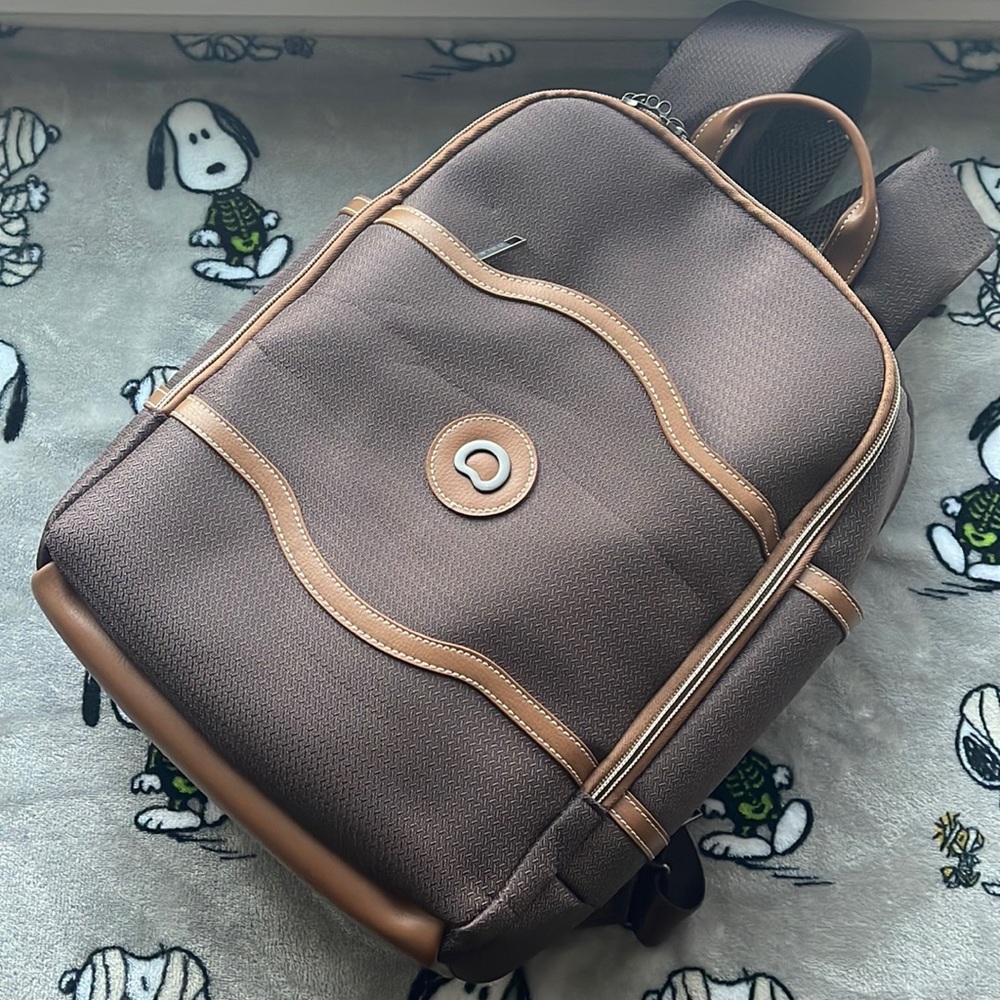 Delsey Chatelet travel backpack